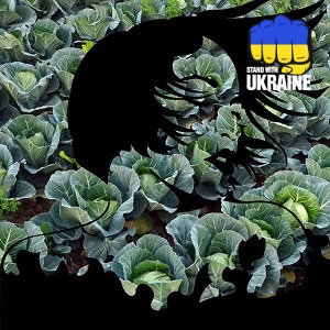 DIANAMusic - Я й не їв би, і не пив би