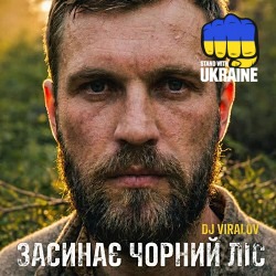 Dj Viralov - Засинає Чорний ліс (Deep House)
