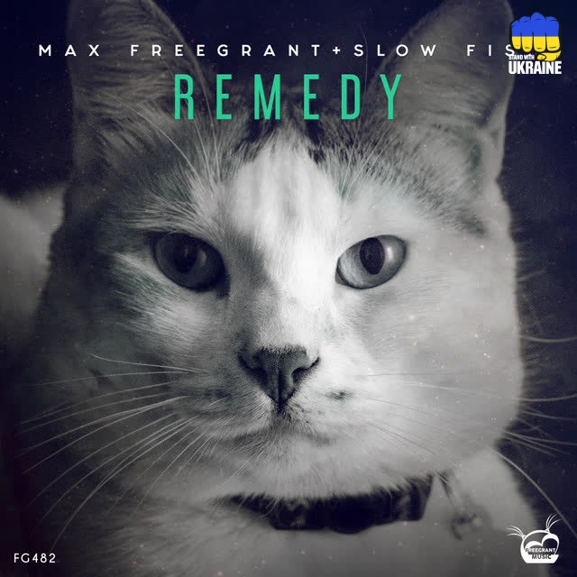 Max Freegrant & Slow Fish - Remedy