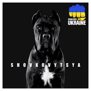 LATEXFAUNA - Shovkovytsya